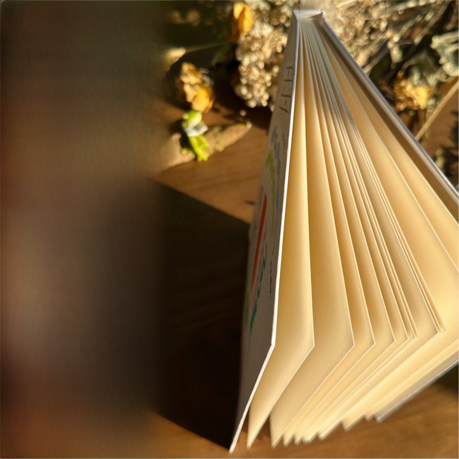 Journal Leather Hardcover - Handgetekend notitieboek met harde kaft, accordeonpagina's,